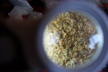 2017-02-07 08-35-20.JPG