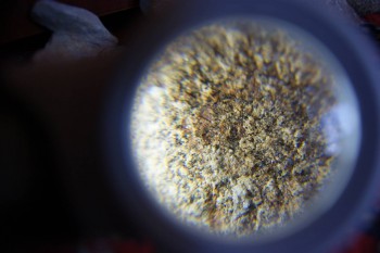 2017-02-07 08-35-34.JPG