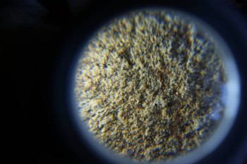 2017-02-07 08-36-00.JPG