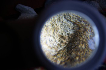 2017-02-07 08-36-56.JPG