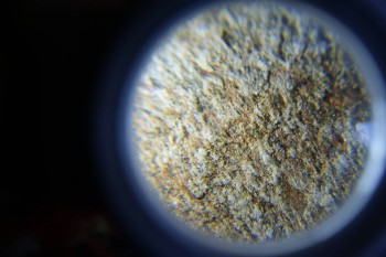 2017-02-07 08-37-36.JPG