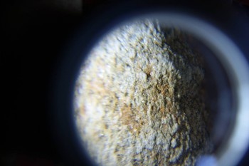 2017-02-07 08-38-18.JPG