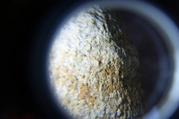 2017-02-07 08-38-22.JPG