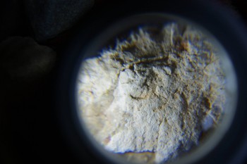 2017-02-07 08-39-06.JPG