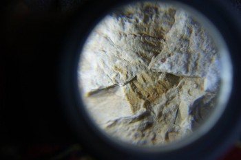 2017-02-07 08-39-28.JPG