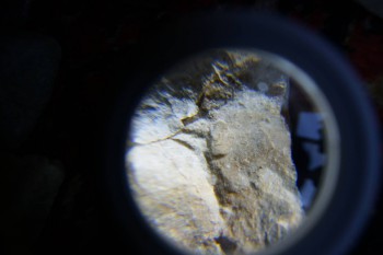 2017-02-07 08-41-12.JPG