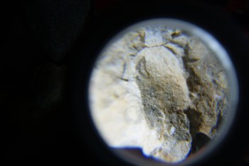 2017-02-07 08-41-36.JPG