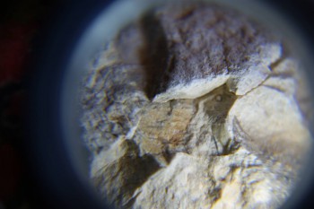 2017-02-07 08-42-10.JPG