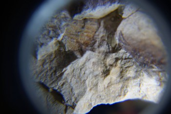 2017-02-07 08-42-18.JPG