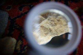 2017-02-07 08-42-30.JPG