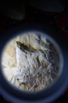 2017-02-07 08-42-54.JPG