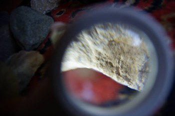 2017-02-07 08-43-30.JPG