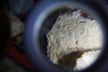 2017-02-07 08-43-52.JPG