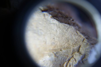 2017-02-07 08-44-16.JPG