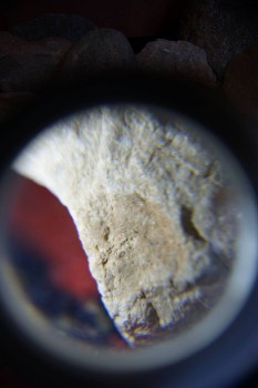 2017-02-07 08-44-36.JPG