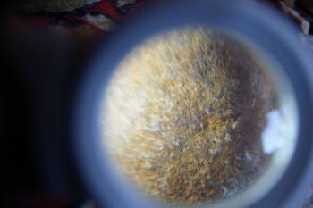 2017-02-07 08-45-50.JPG