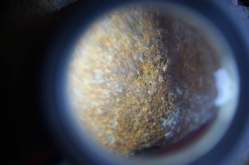 2017-02-07 08-46-14.JPG