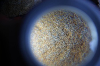 2017-02-07 08-46-32.JPG