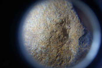 2017-02-07 08-47-02.JPG