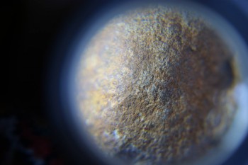 2017-02-07 08-47-18.JPG