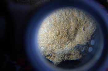 2017-02-07 08-47-38.JPG