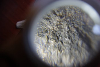 2017-02-07 08-48-20.JPG