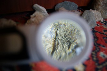 2017-02-07 08-48-42.JPG