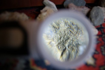 2017-02-07 08-48-58.JPG