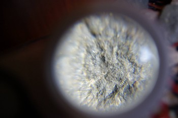 2017-02-07 08-49-24.JPG