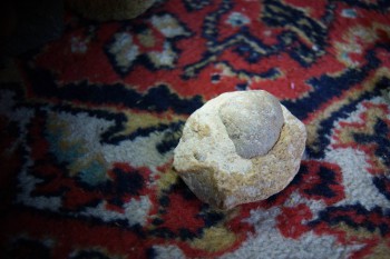 2017-02-07 08-49-48.JPG