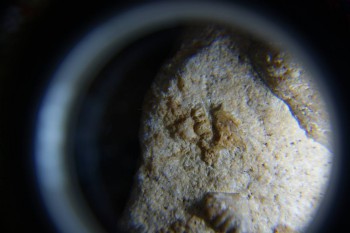 2017-02-07 08-50-40.JPG