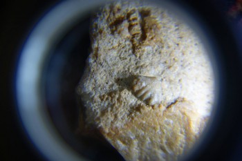 2017-02-07 08-50-48.JPG