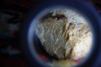 2017-02-07 08-50-56.JPG