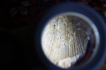 2017-02-07 08-56-12.JPG