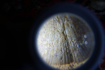 2017-02-07 08-56-22.JPG