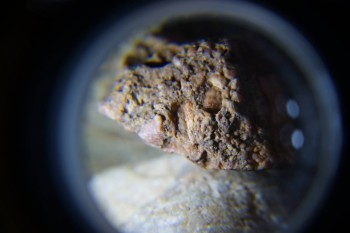 2017-02-07 09-03-48.JPG