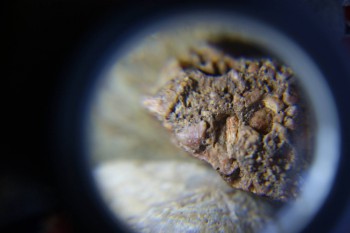 2017-02-07 09-04-14.JPG