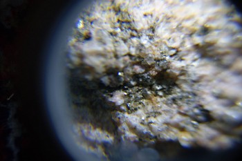 2017-02-08 14-20-12.JPG