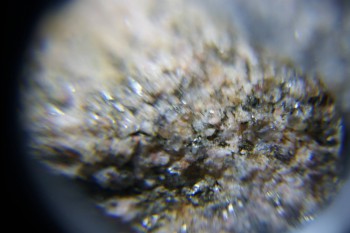 2017-02-08 14-18-58.JPG