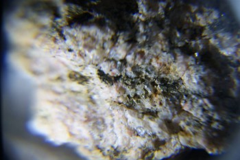 2017-02-08 14-18-44.JPG