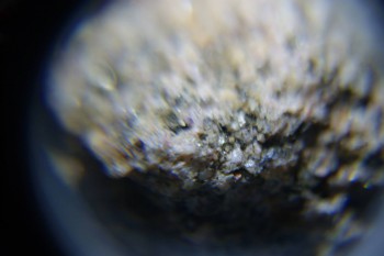 2017-02-08 14-16-44.JPG