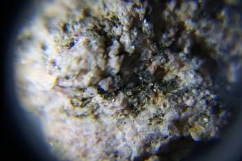 2017-02-08 14-16-28.JPG