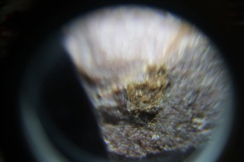 2017-02-08 14-13-54.JPG