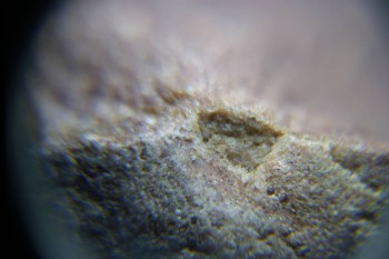 2017-02-08 14-13-26.JPG