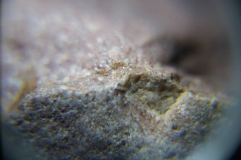 2017-02-08 14-13-08.JPG