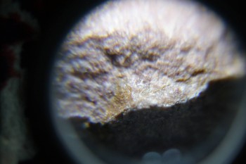 2017-02-08 14-12-42.JPG