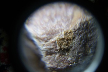 2017-02-08 14-11-34.JPG