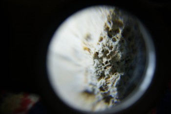 2017-02-08 14-10-34.JPG