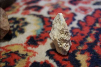 2017-02-08 14-09-58.JPG