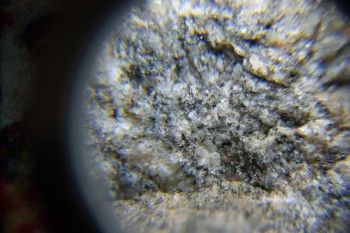 2017-02-08 14-09-18.JPG